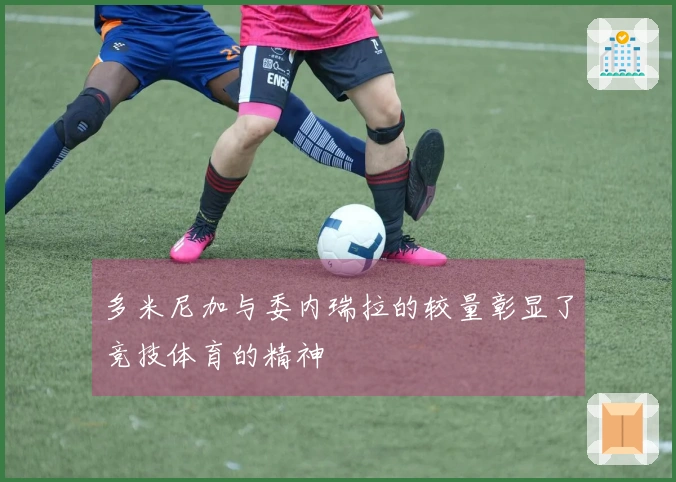 多米尼加与委内瑞拉的较量彰显了竞技体育的精神