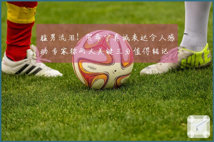 猛男流泪！贺希宁真诚表达令人感动 专家称两大关键三分值得铭记