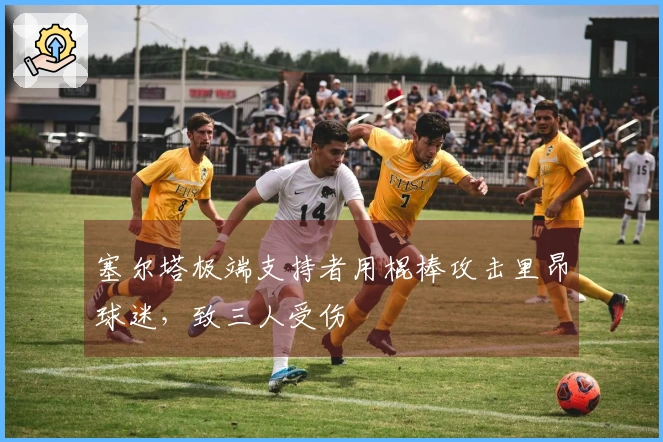 塞尔塔极端支持者用棍棒攻击里昂球迷，致三人受伤