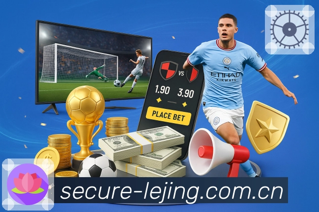 稳定工具 - 线路检测与备用入口